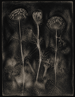 Black Orchard demonstration artwork