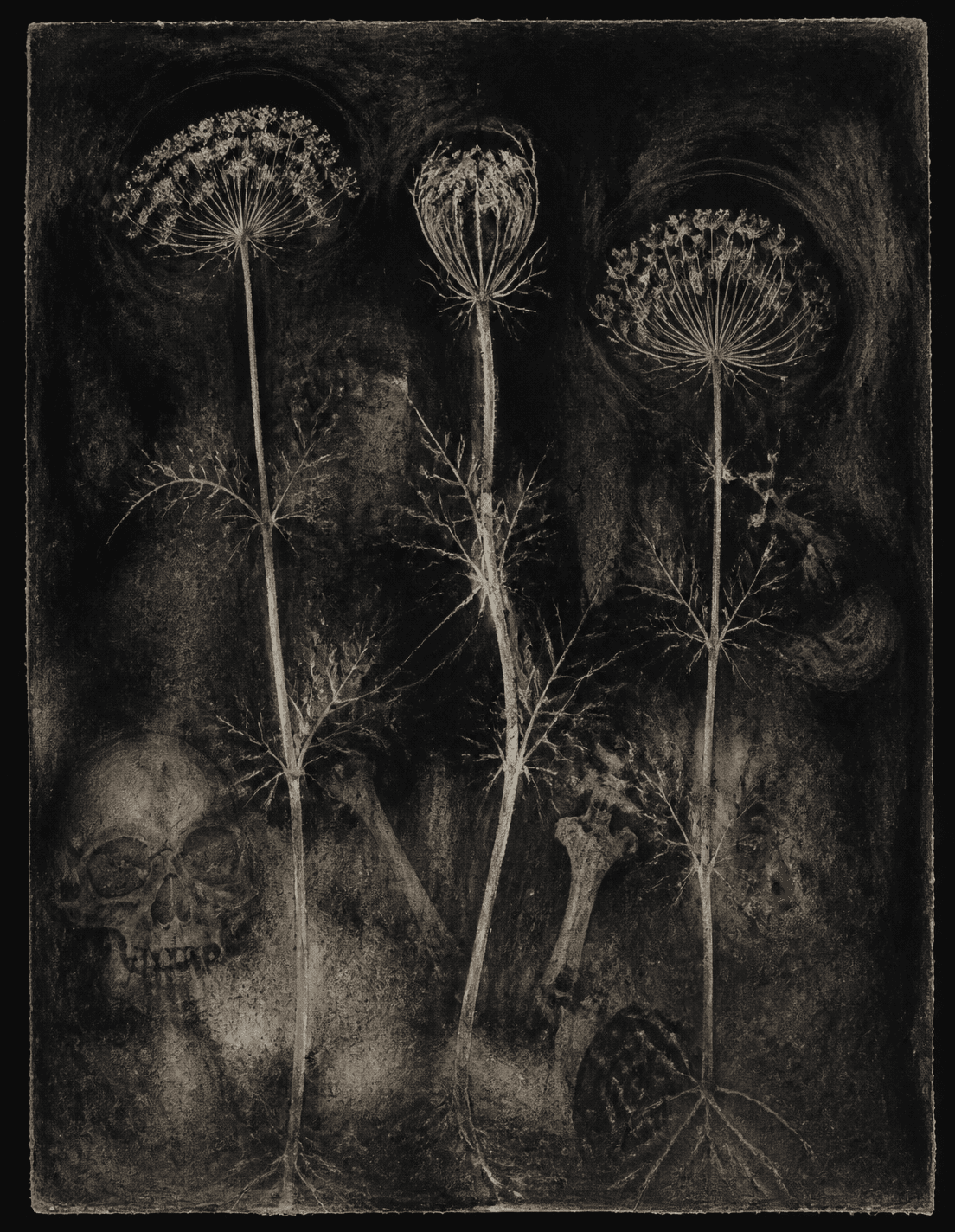 Fictional demonstration artwork Black Orchard shown as its primary record image