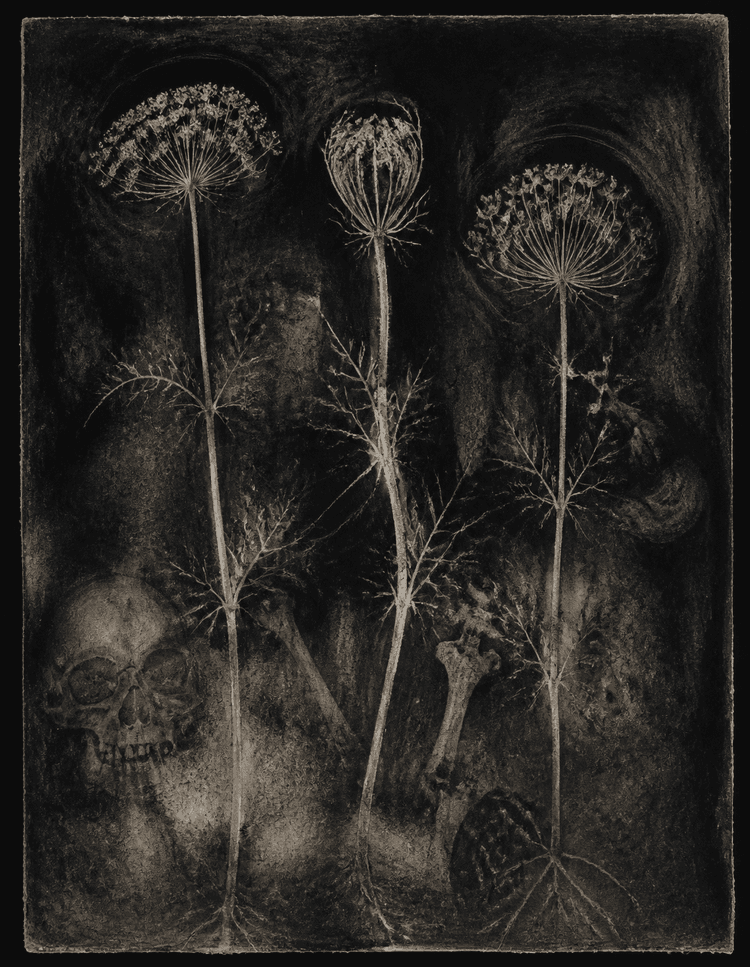 Black Orchard demonstration artwork